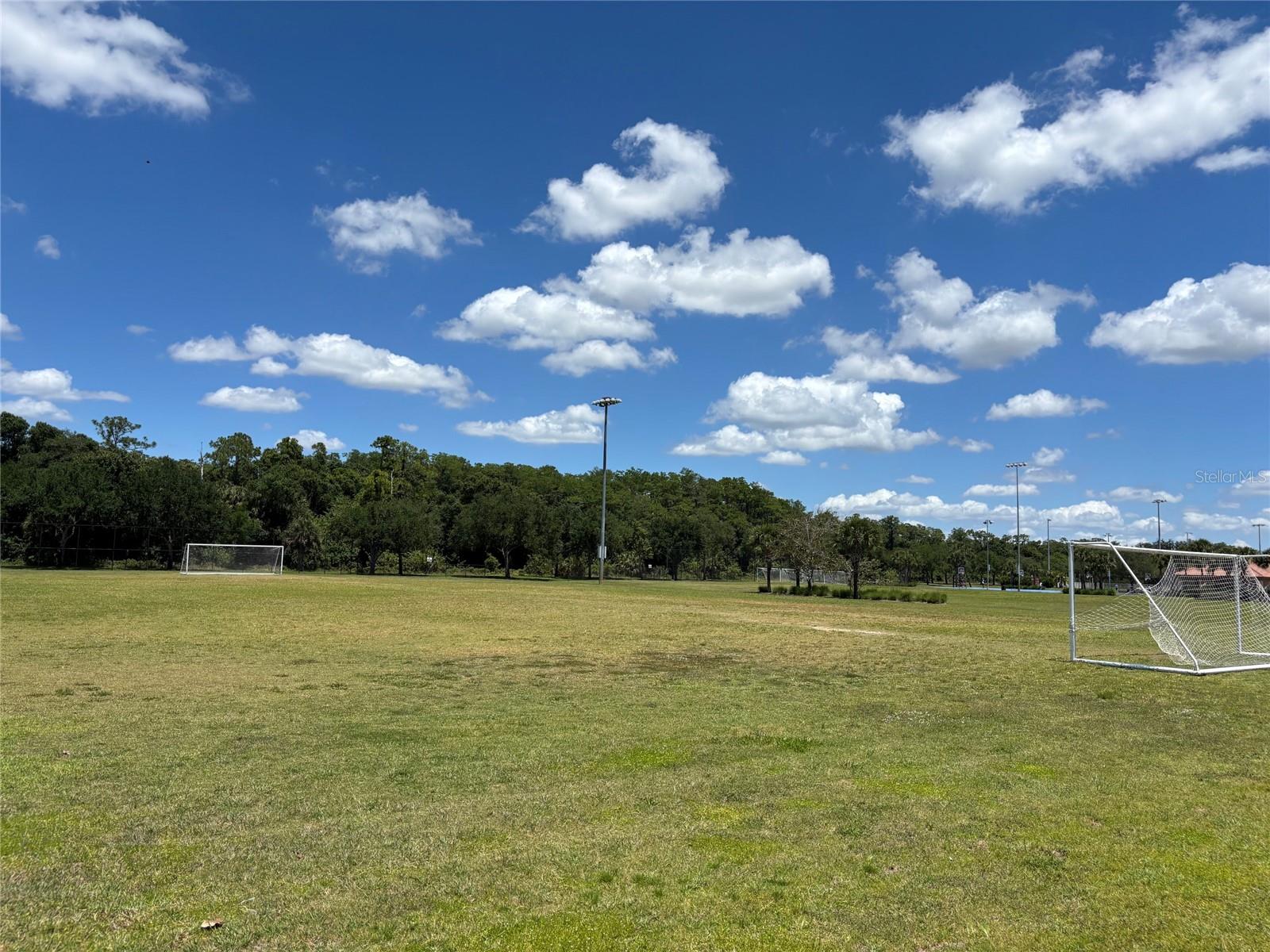 5868 AGOSTINO WAY, AVE MARIA, FL, 34142