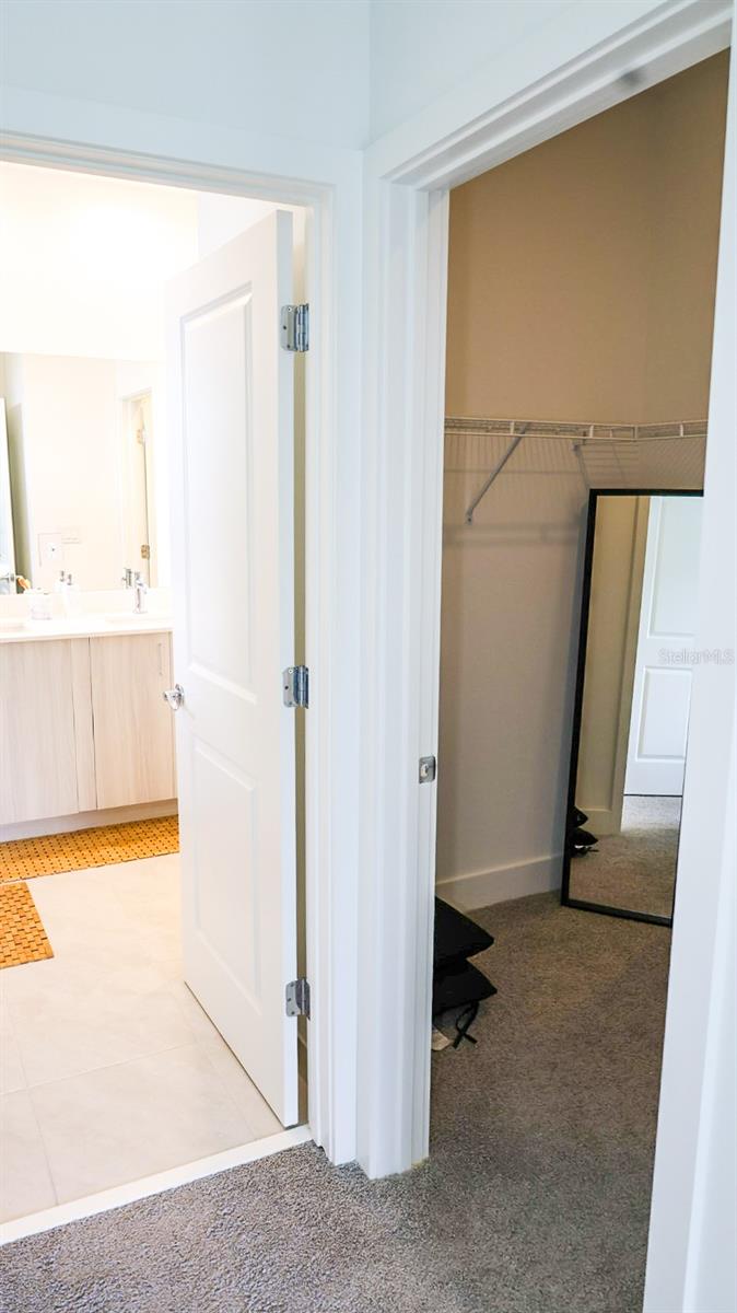 5868 AGOSTINO WAY, AVE MARIA, FL, 34142