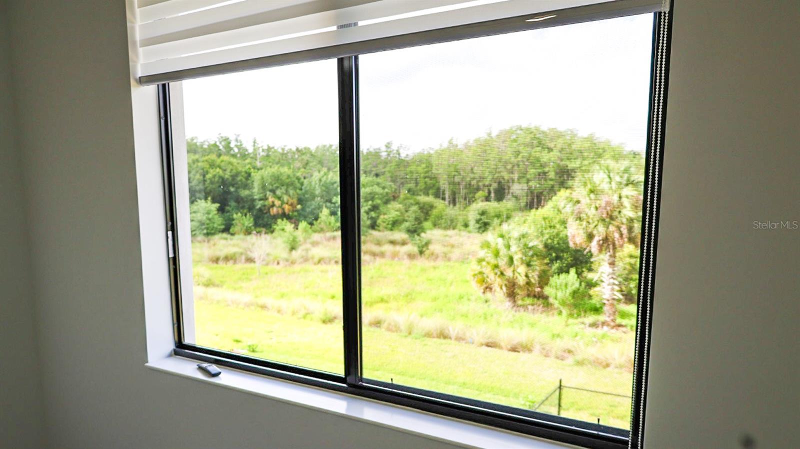 5868 AGOSTINO WAY, AVE MARIA, FL, 34142