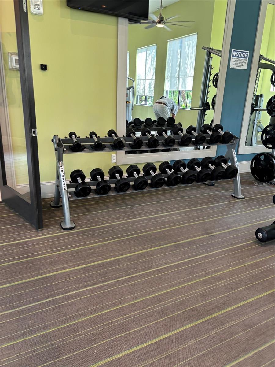 5868 AGOSTINO WAY, AVE MARIA, FL, 34142