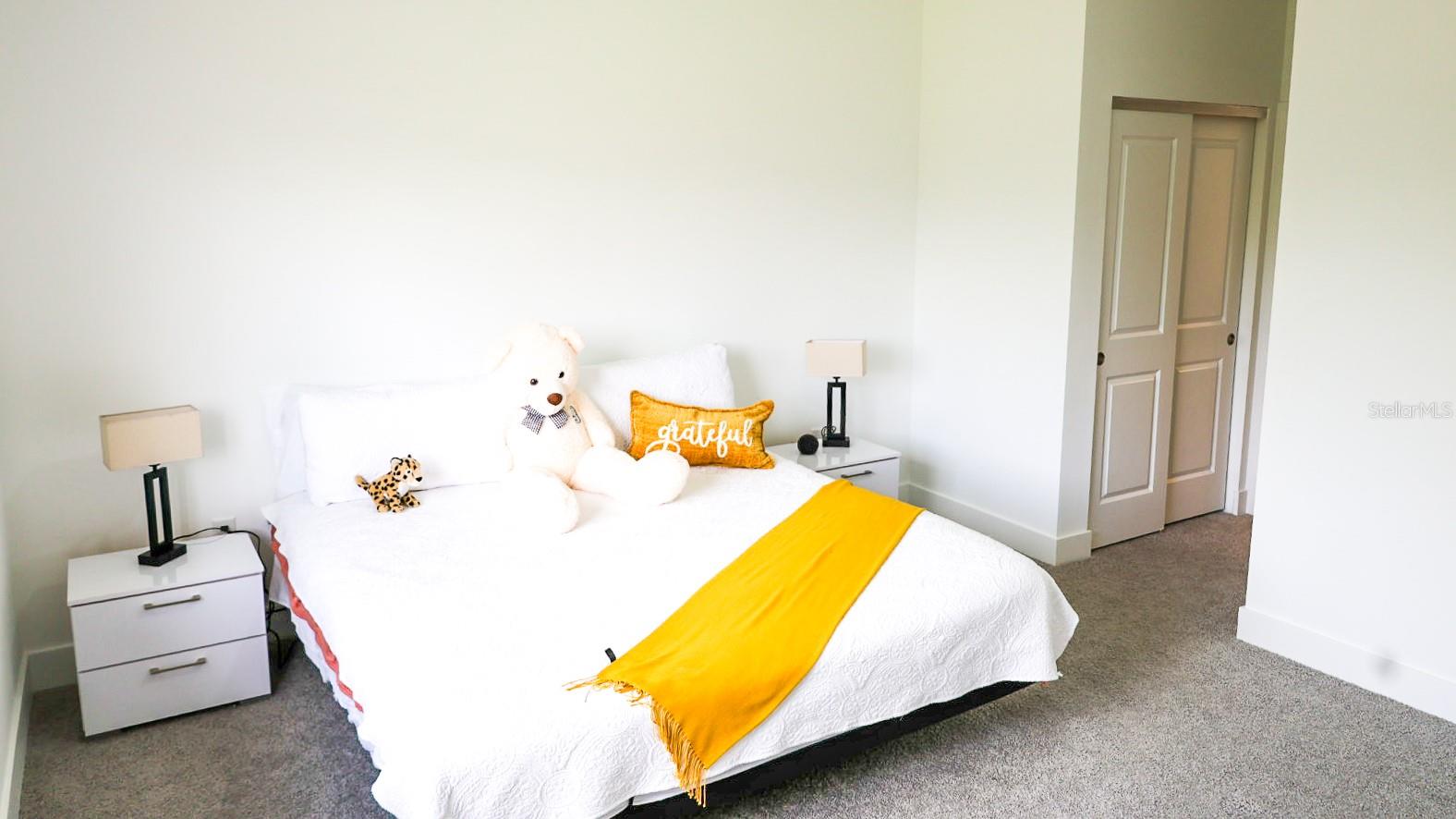 5868 AGOSTINO WAY, AVE MARIA, FL, 34142