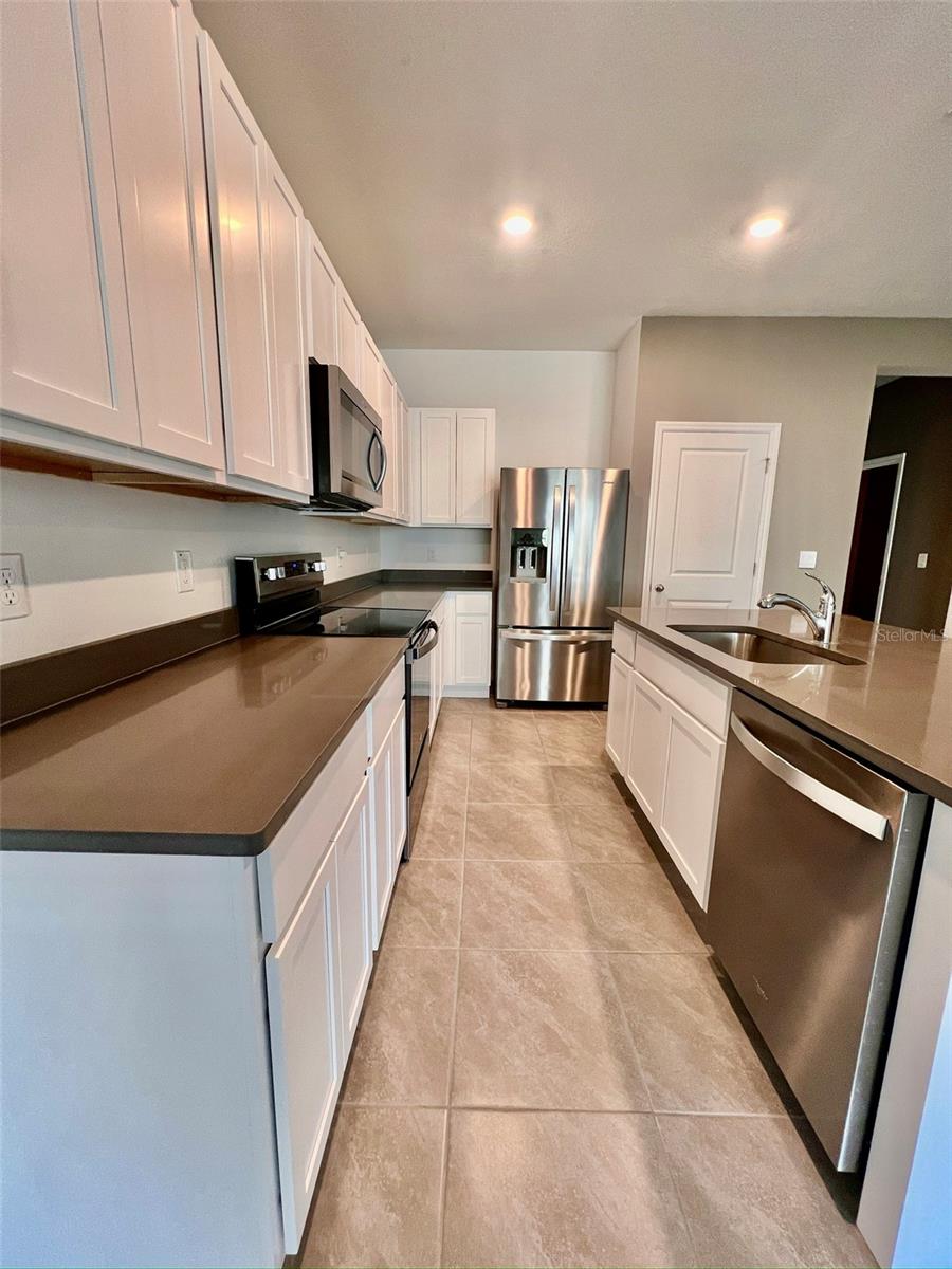 31325 MIDNIGHT SUN WAY, WESLEY CHAPEL, FL, 33545