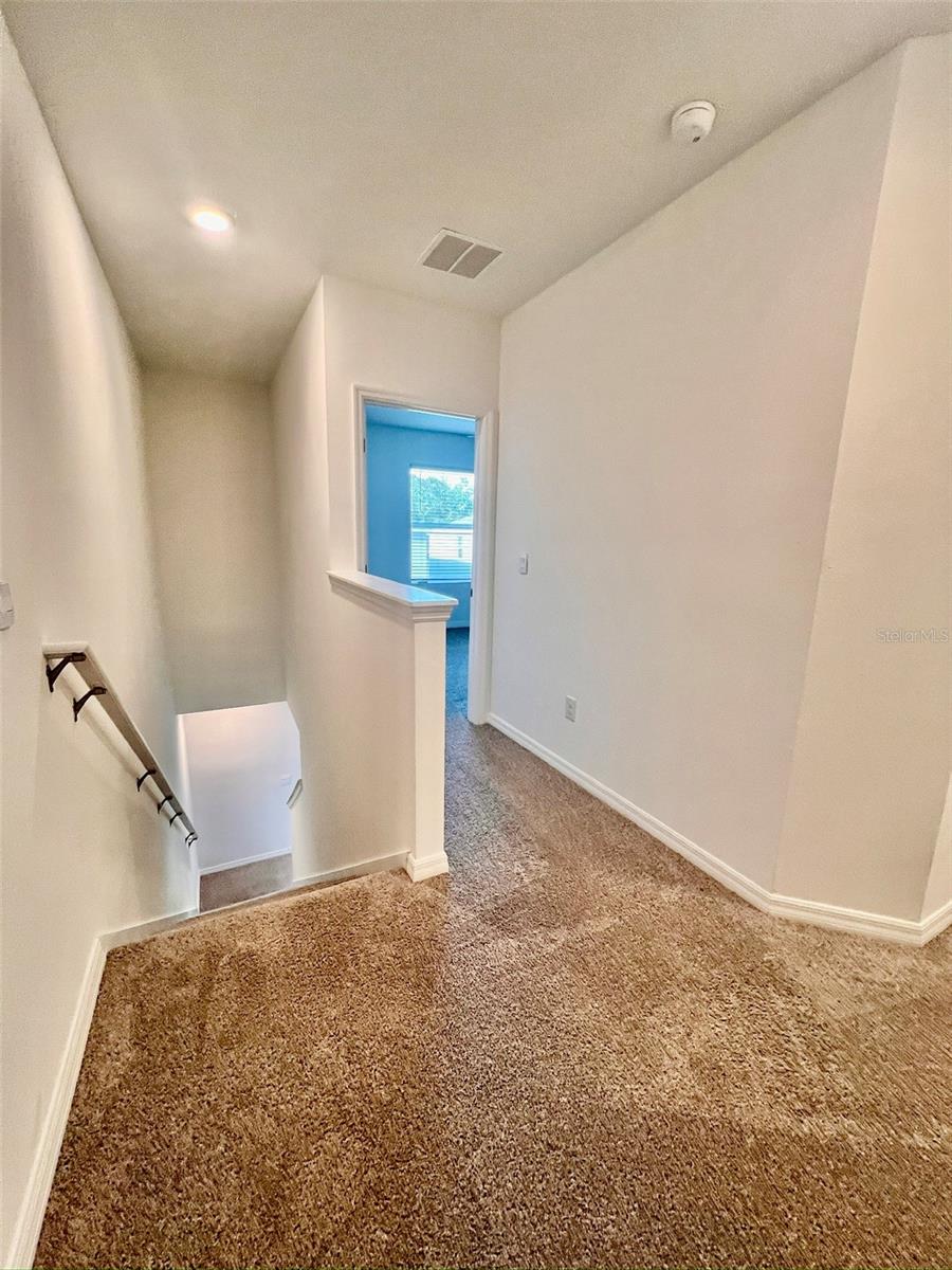31325 MIDNIGHT SUN WAY, WESLEY CHAPEL, FL, 33545