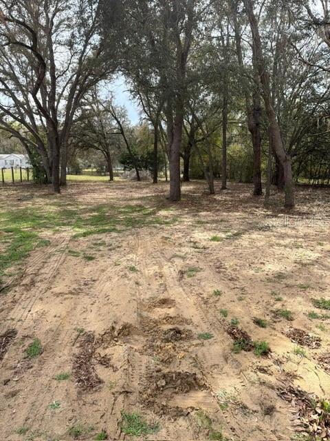 8330 NE 113TH LN, BRONSON, FL, 32621