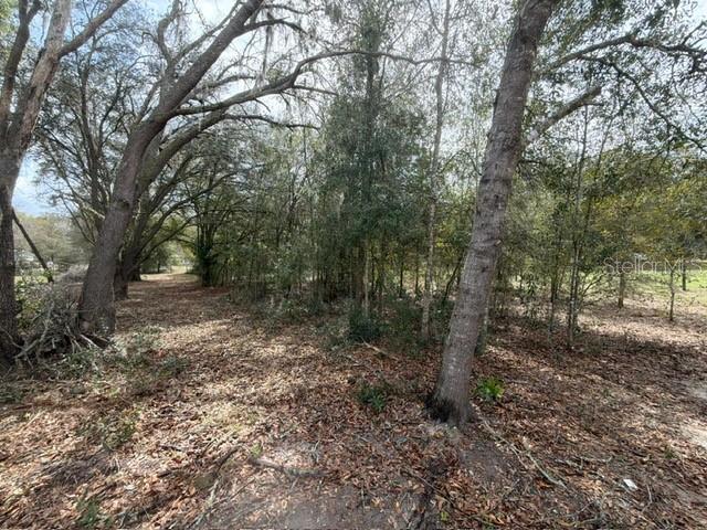 8330 NE 113TH LN, BRONSON, FL, 32621