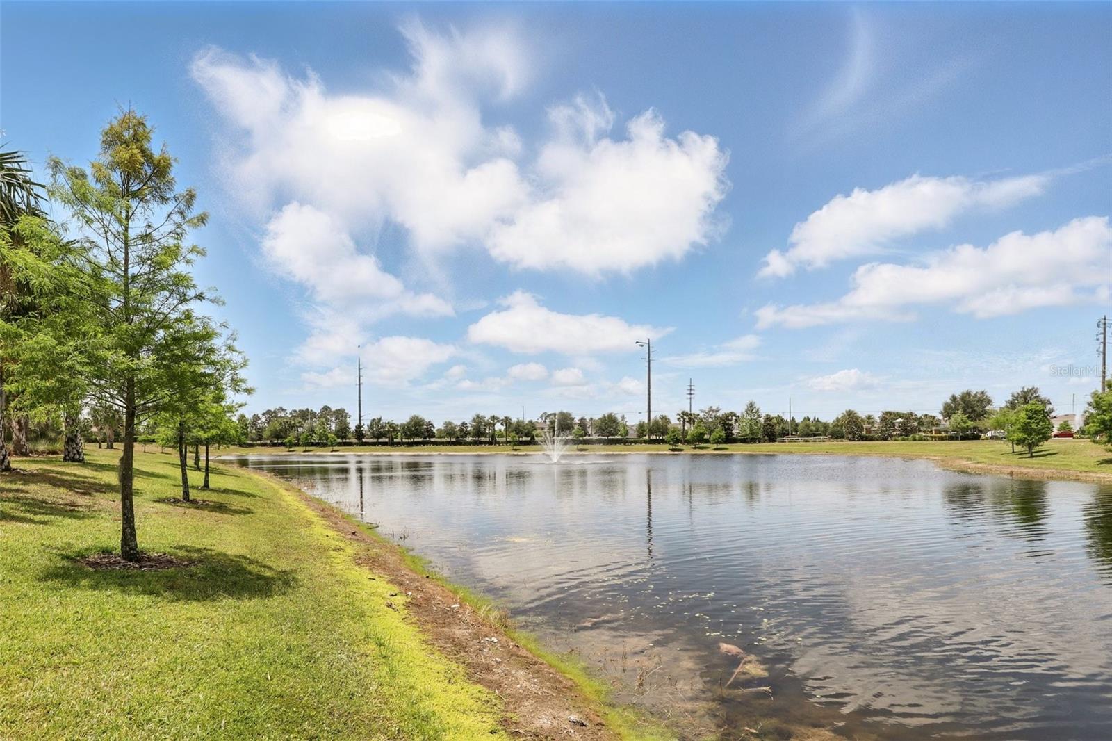 9820 BUCKLOW HILL DR, ORLANDO, FL, 32832