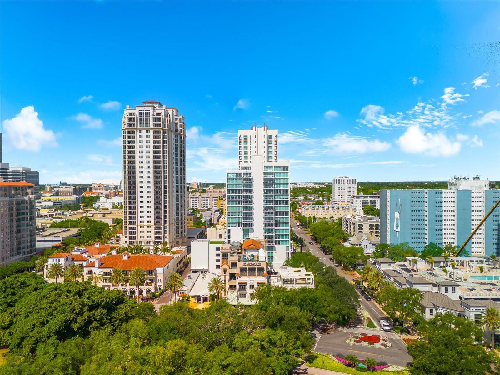 176 4TH AVE NE #201, ST PETERSBURG, FL, 33701