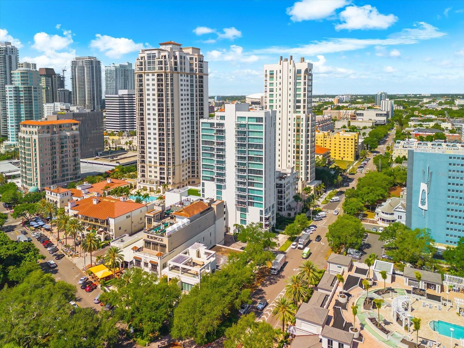 176 4TH AVE NE #201, ST PETERSBURG, FL, 33701