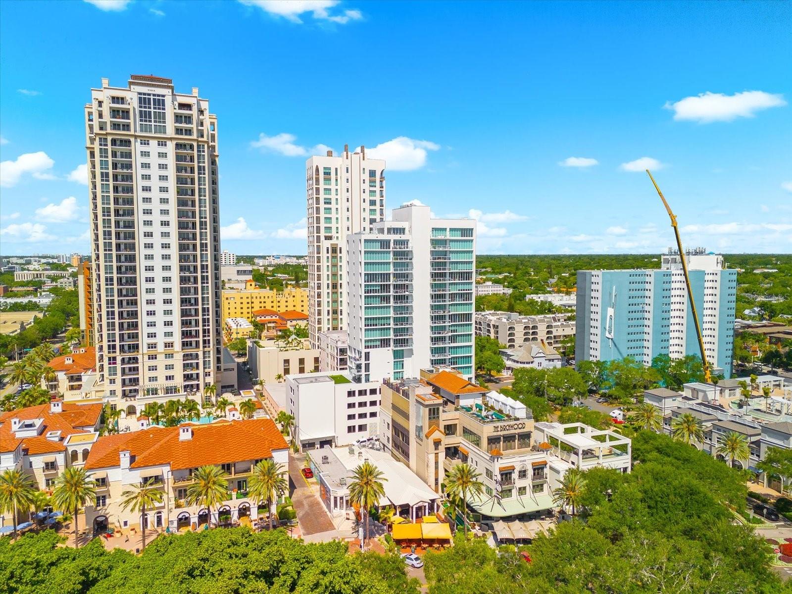 176 4TH AVE NE #201, ST PETERSBURG, FL, 33701