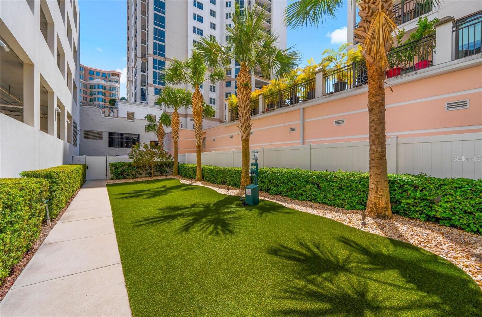 176 4TH AVE NE #201, ST PETERSBURG, FL, 33701