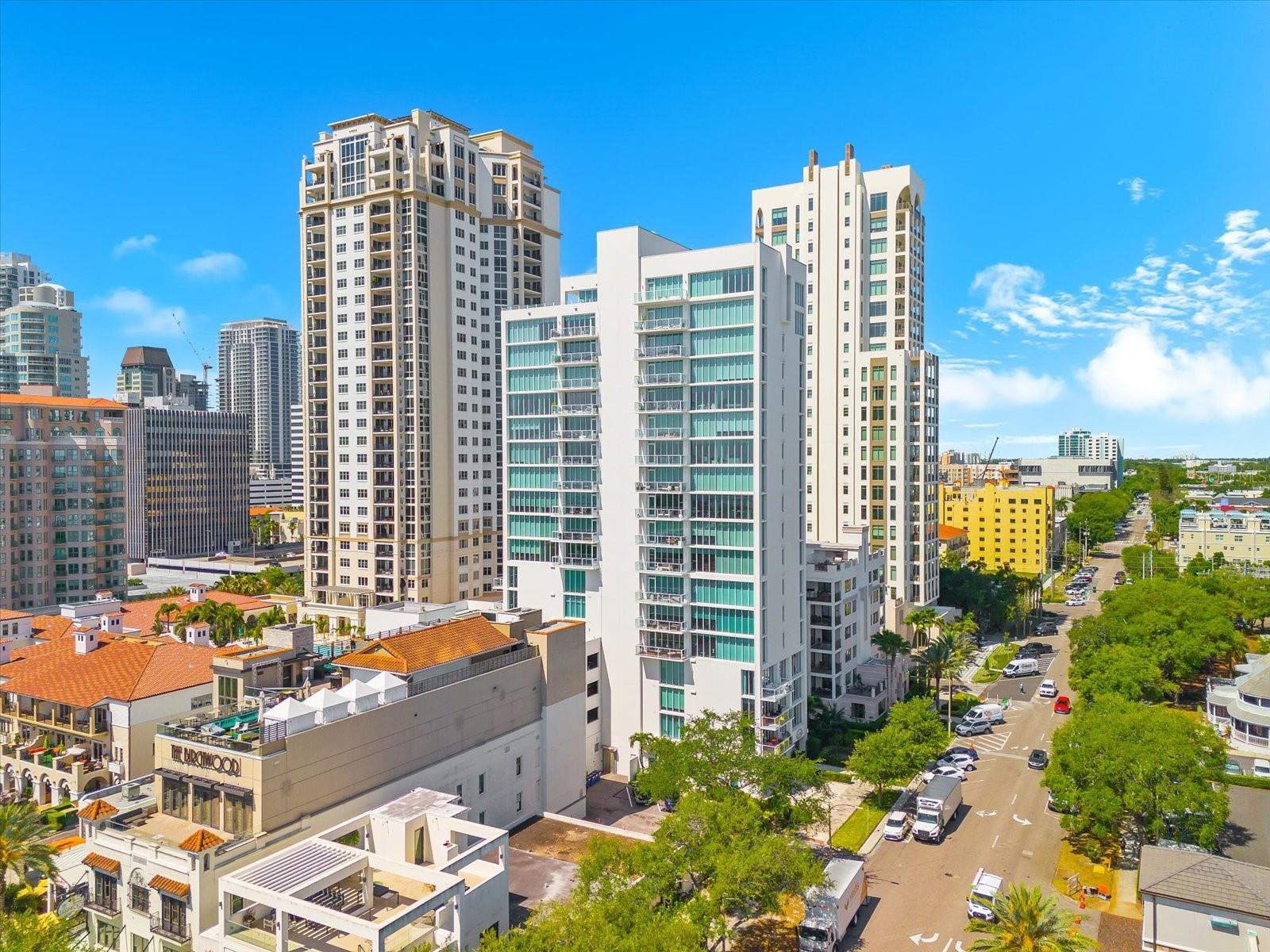 176 4TH AVE NE #201, ST PETERSBURG, FL, 33701