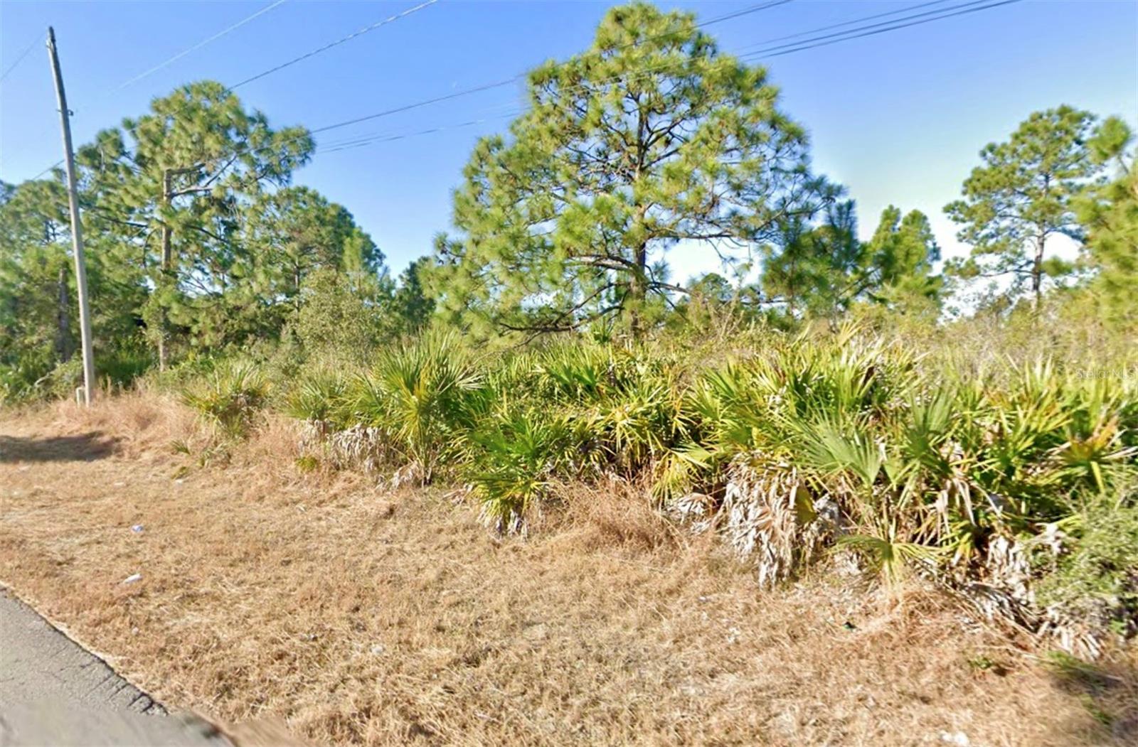 1019 WAGNER AVE, LEHIGH ACRES, FL, 33972
