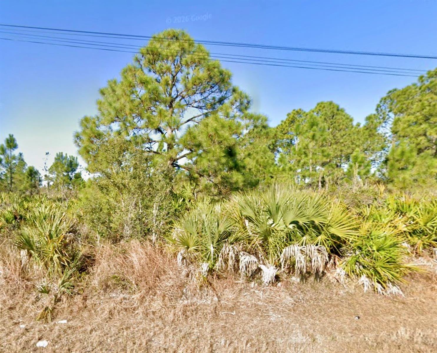 1019 WAGNER AVE, LEHIGH ACRES, FL, 33972