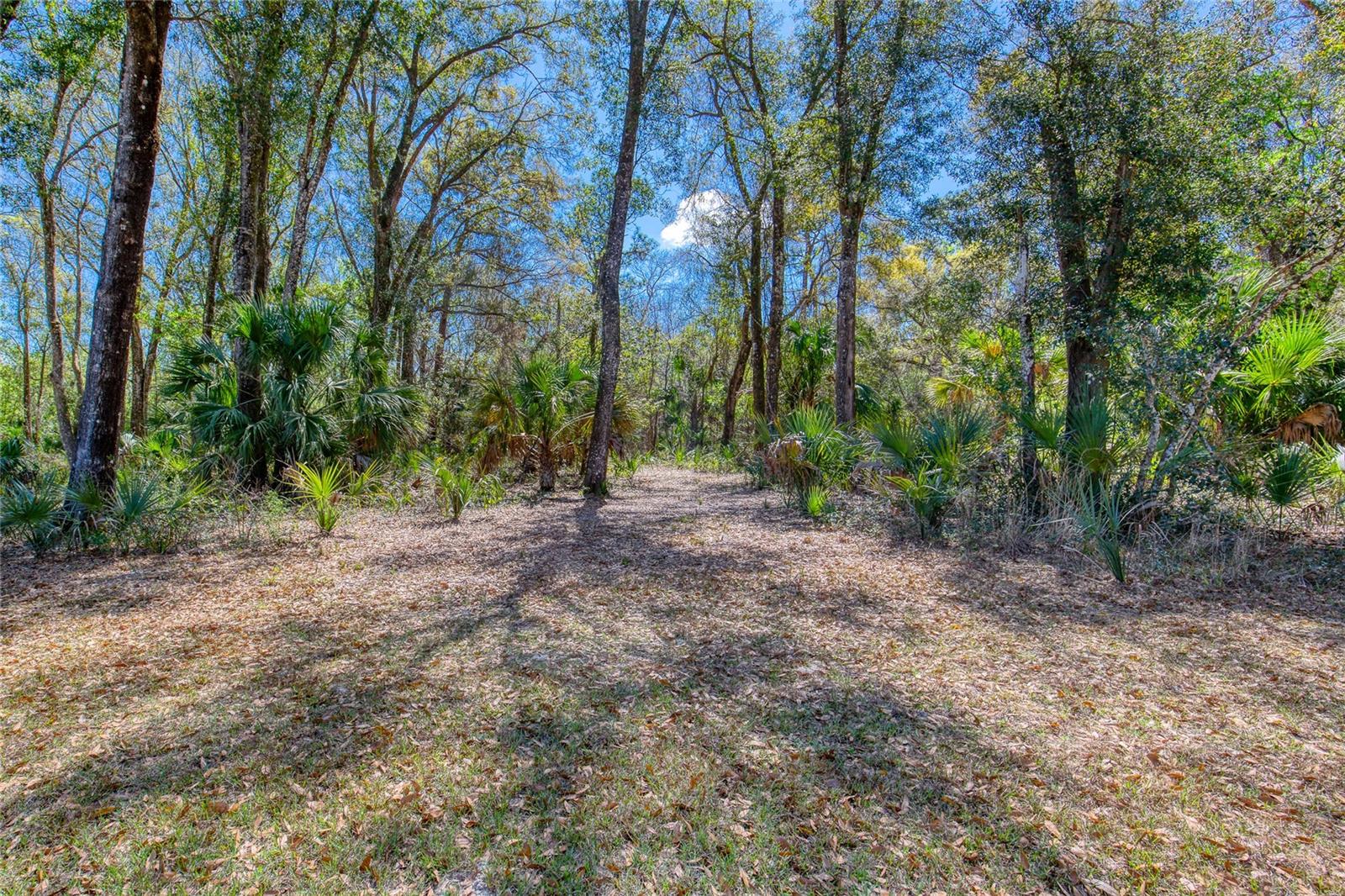 1805 ADRIAN CREEK BLVD, PORT ORANGE, FL, 32128