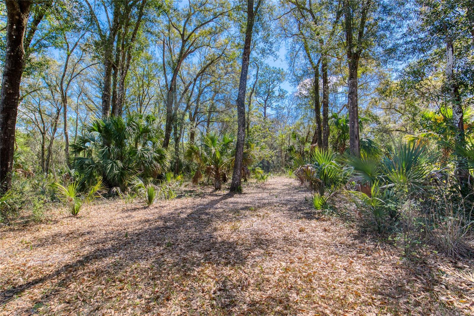 1805 ADRIAN CREEK BLVD, PORT ORANGE, FL, 32128