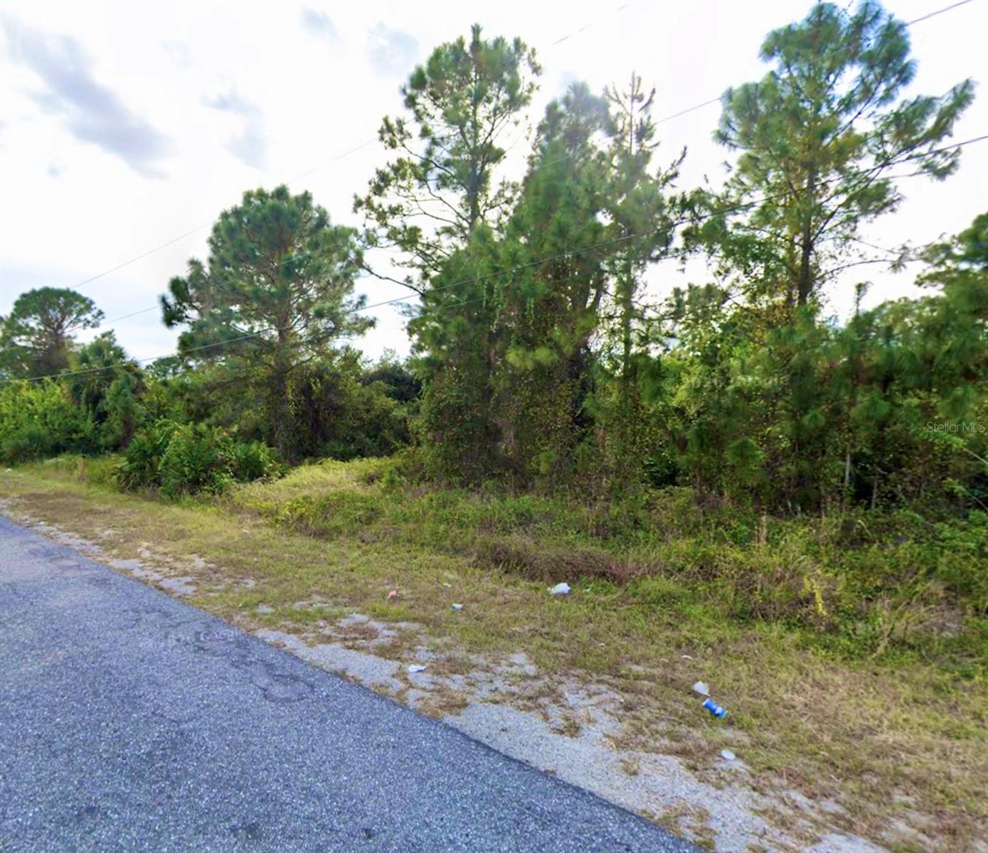 54 DENIS AVE S, LEHIGH ACRES, FL, 33976