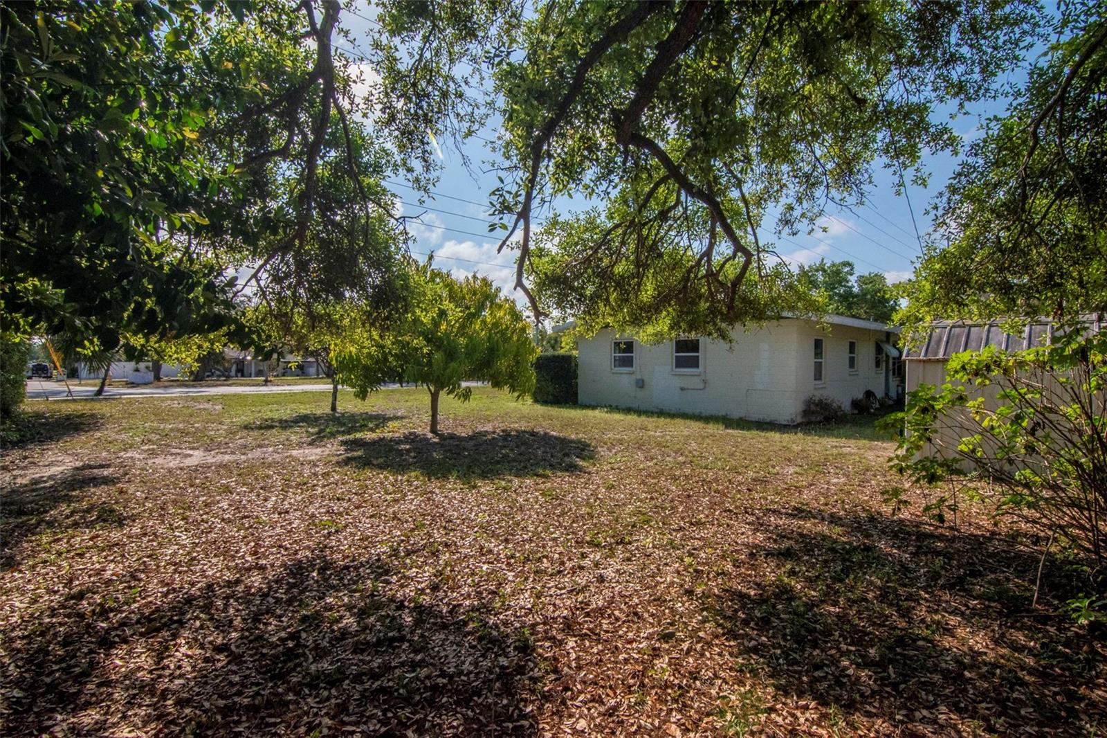 230 MILWAUKEE AVE, DUNEDIN, FL, 34698