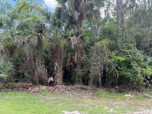 CR 234, MICANOPY, FL, 32667