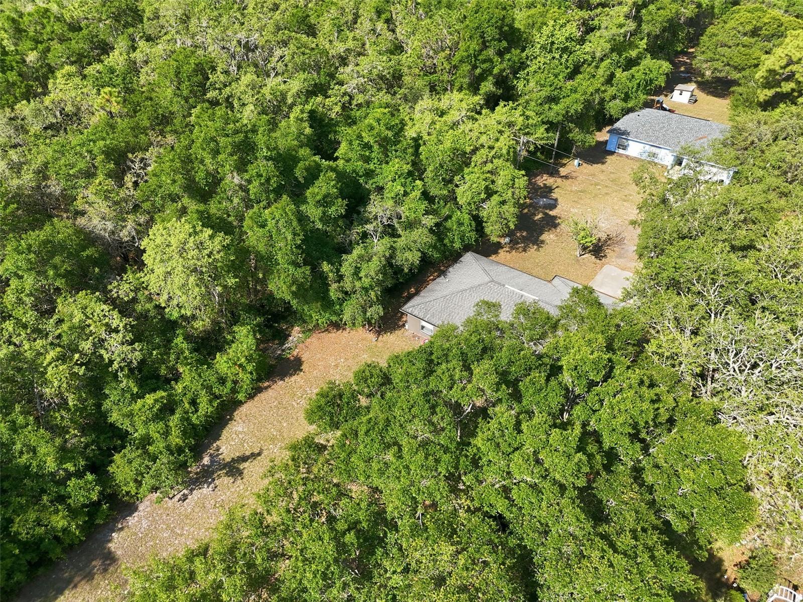 6649 N DELTA TER, HERNANDO, FL, 34442