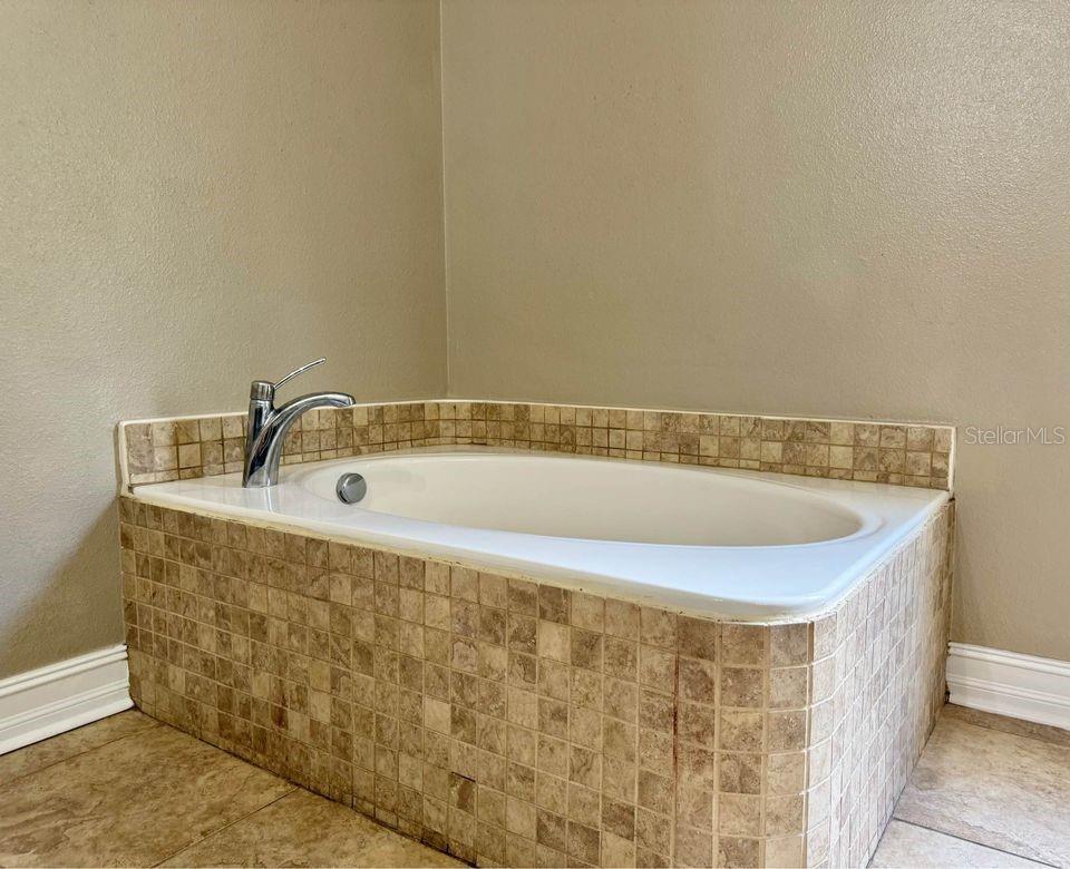 800 CLEAR BROOK CT, FRUITLAND PARK, FL, 34731