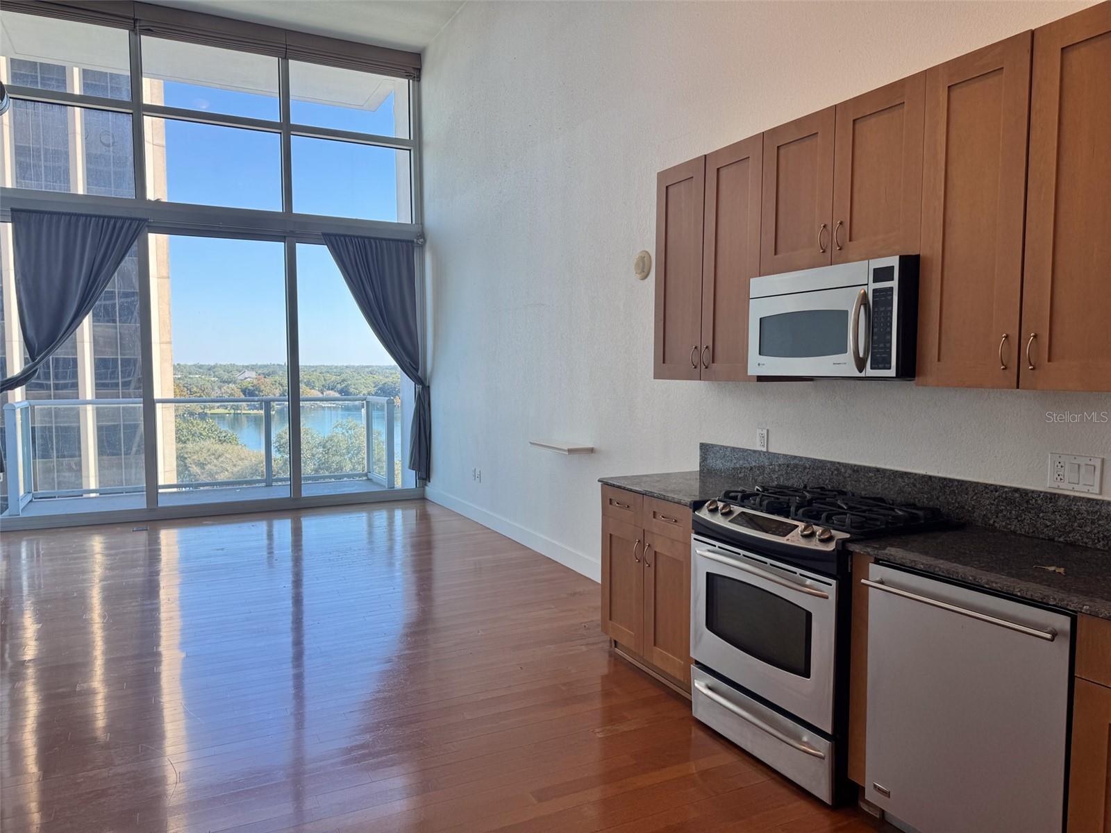 150 E ROBINSON ST #701, ORLANDO, FL, 32801