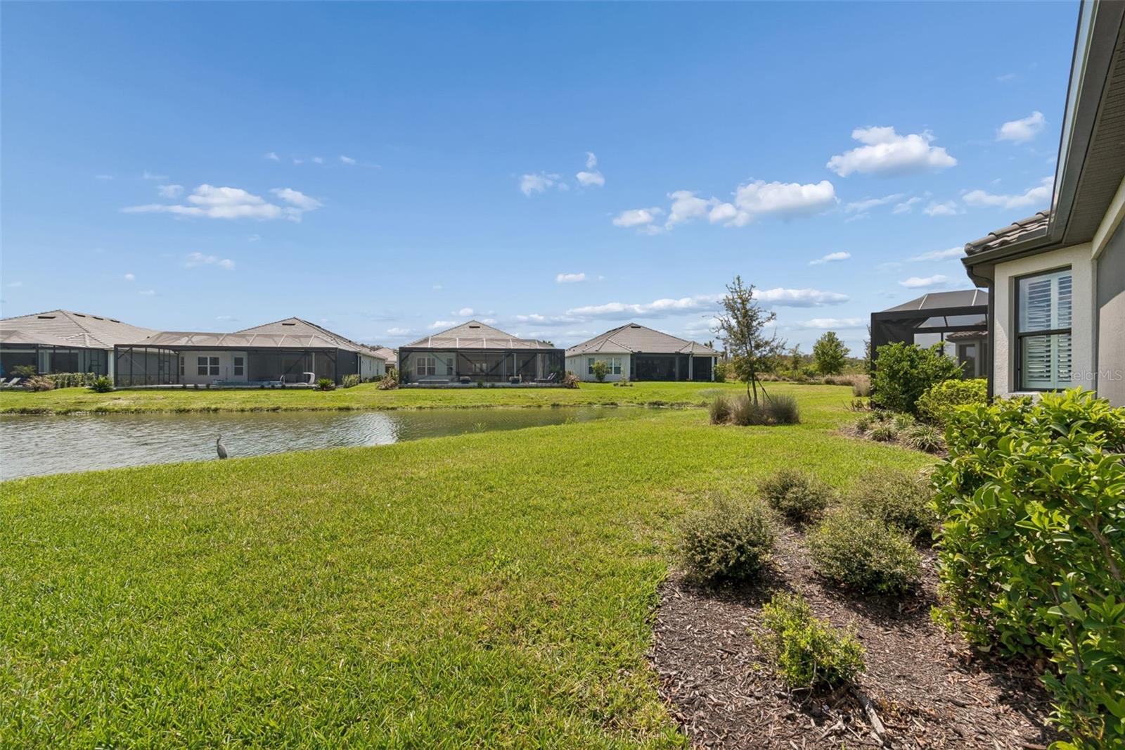 4292 GRATICOLA RD, WESLEY CHAPEL, FL, 33543
