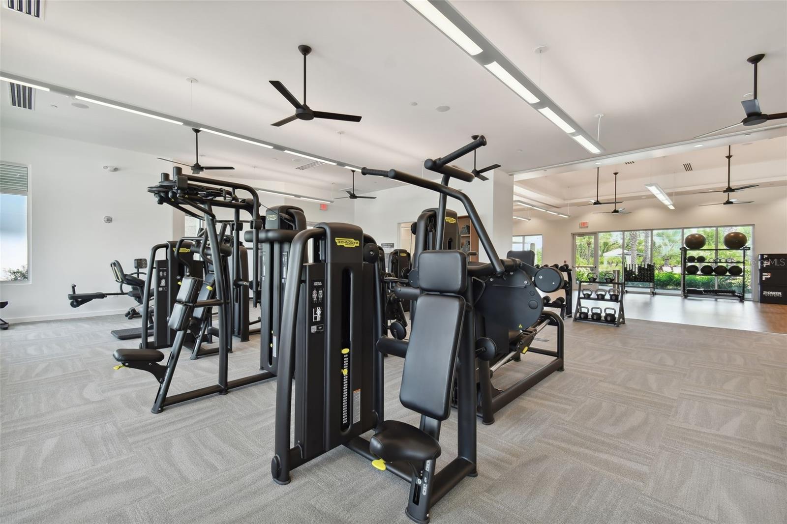 4292 GRATICOLA RD, WESLEY CHAPEL, FL, 33543
