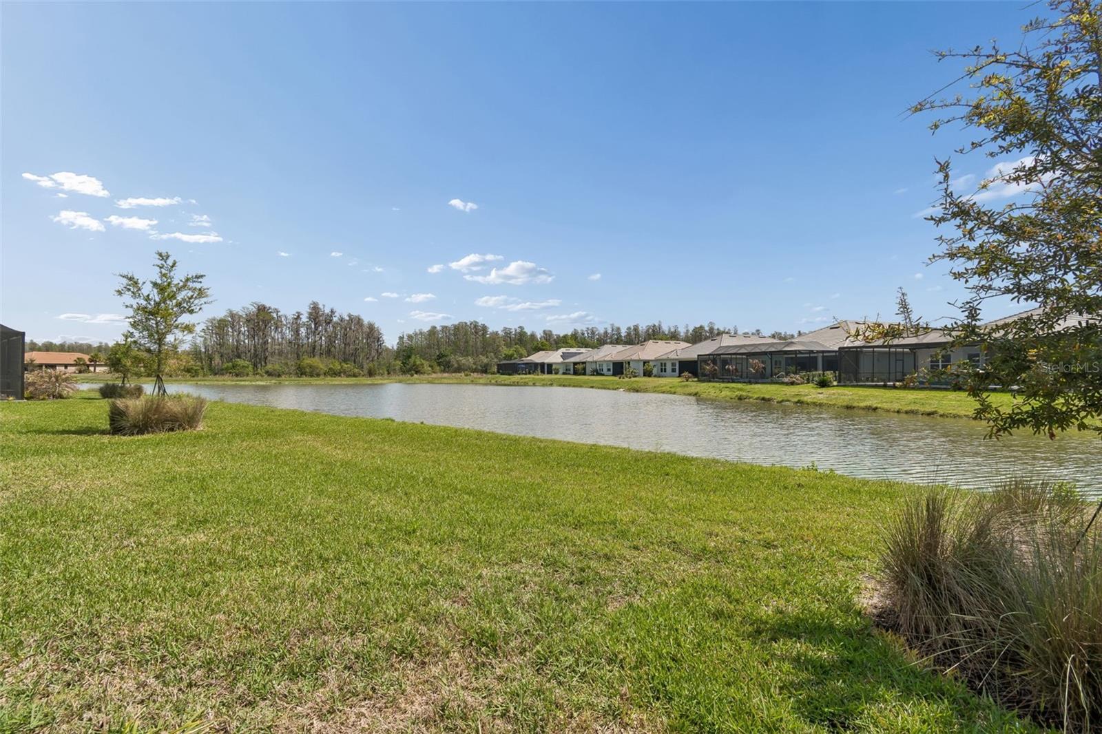 4292 GRATICOLA RD, WESLEY CHAPEL, FL, 33543