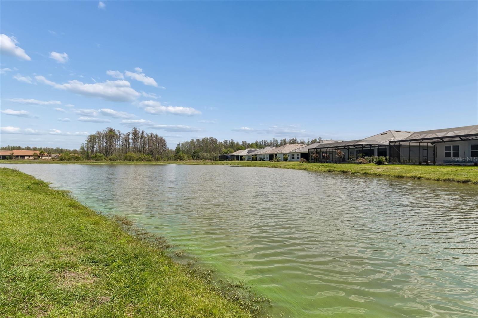 4292 GRATICOLA RD, WESLEY CHAPEL, FL, 33543