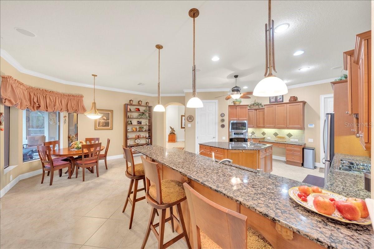 5702 TERNPARK DR, LITHIA, FL, 33547