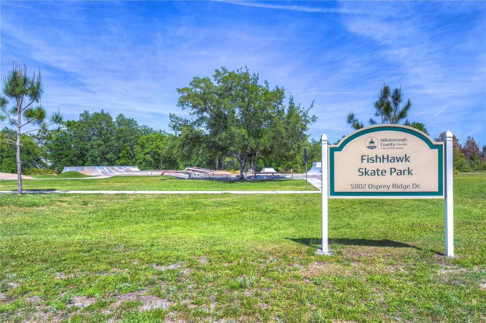 5702 TERNPARK DR, LITHIA, FL, 33547