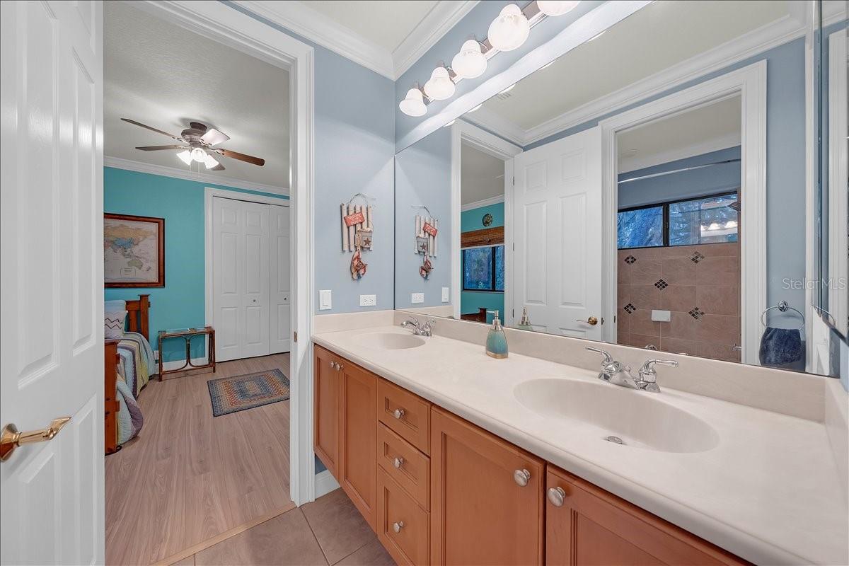 5702 TERNPARK DR, LITHIA, FL, 33547
