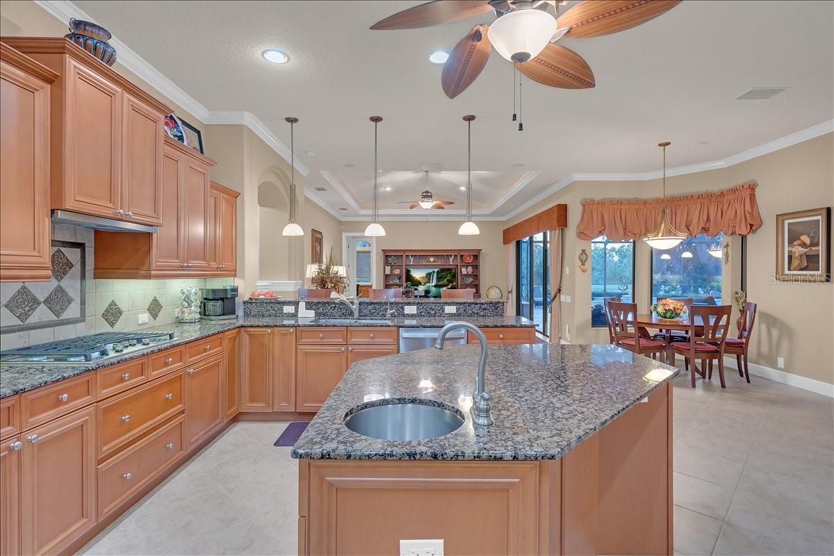 5702 TERNPARK DR, LITHIA, FL, 33547