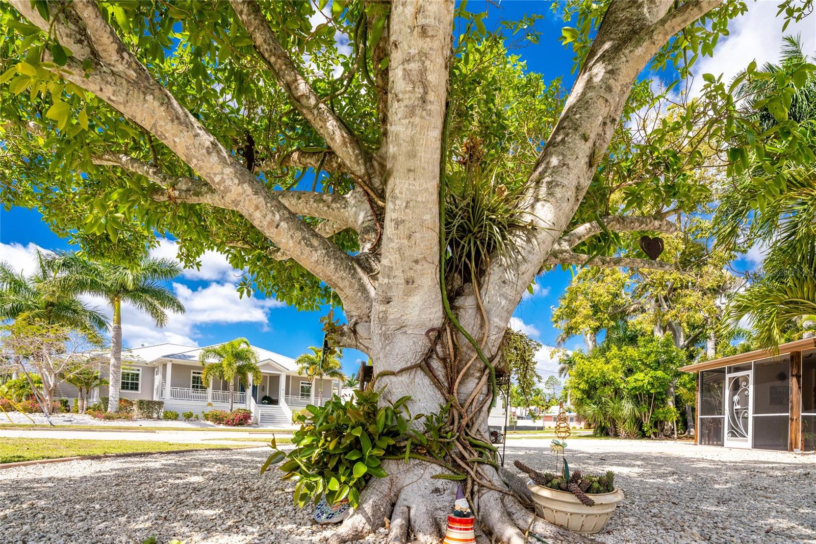 312 MCGREGOR ST, PUNTA GORDA, FL, 33950