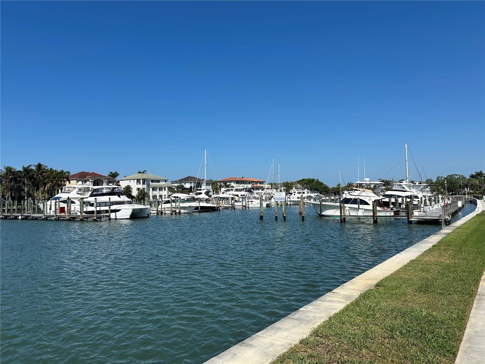 6260 KIPPS COLONY CT #203, GULFPORT, FL, 33707