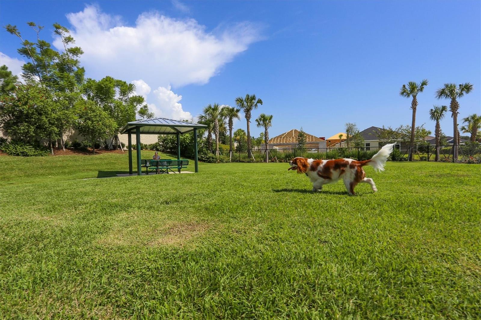 5732 LIATRIS CIR, SARASOTA, FL, 34238