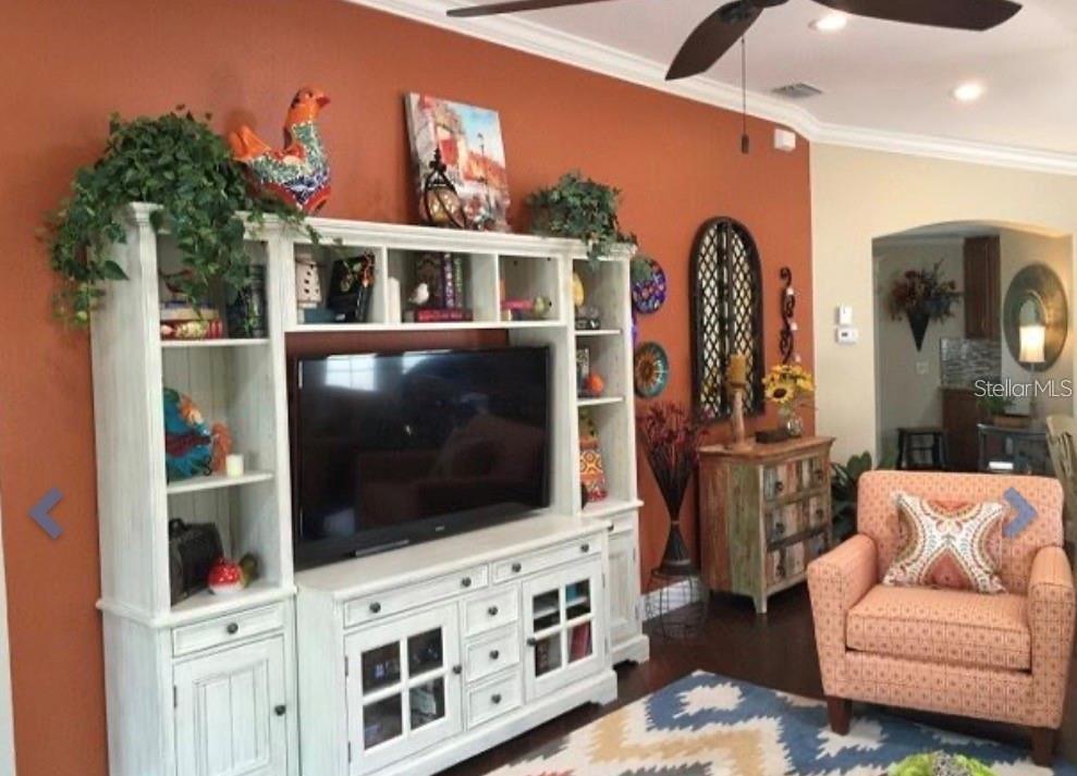 1041 REIDVILLE RD, THE VILLAGES, FL, 32162