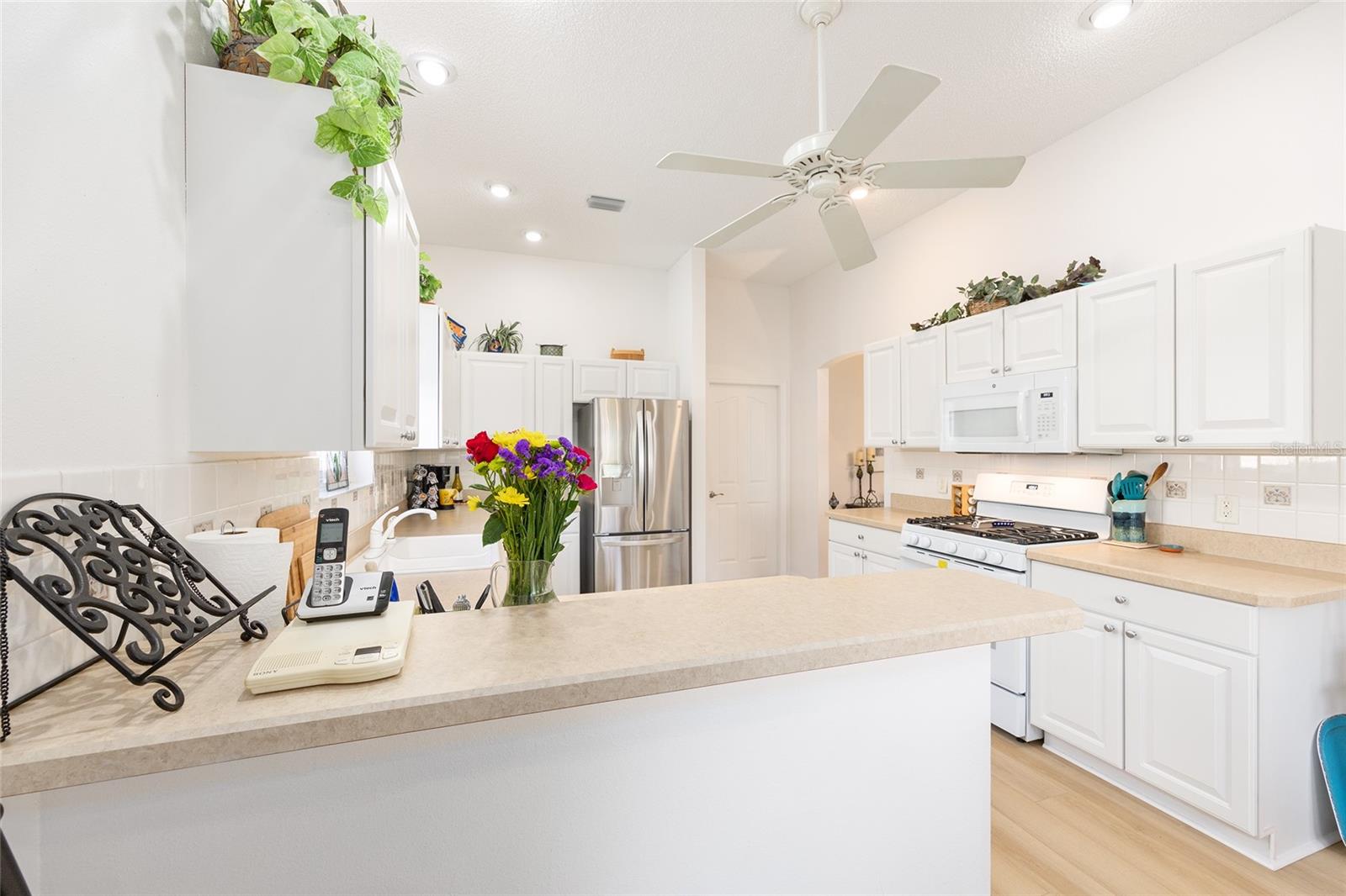 8288 SE 176TH LAWSON LOOP, THE VILLAGES, FL, 32162