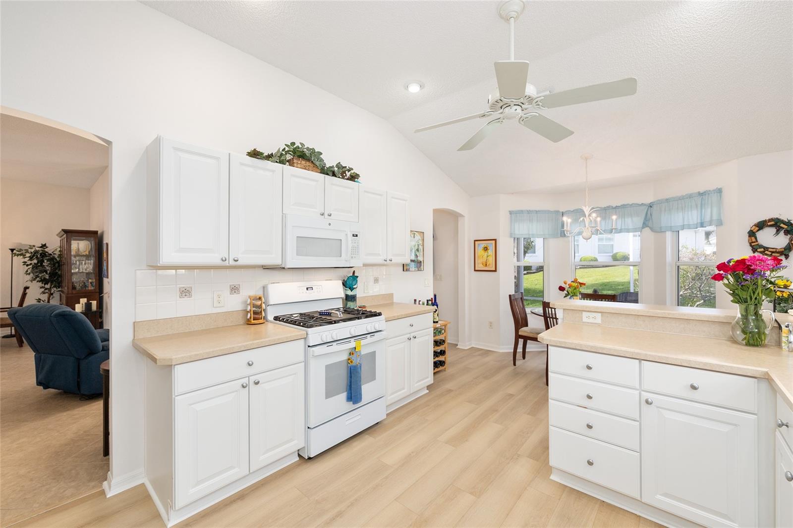 8288 SE 176TH LAWSON LOOP, THE VILLAGES, FL, 32162