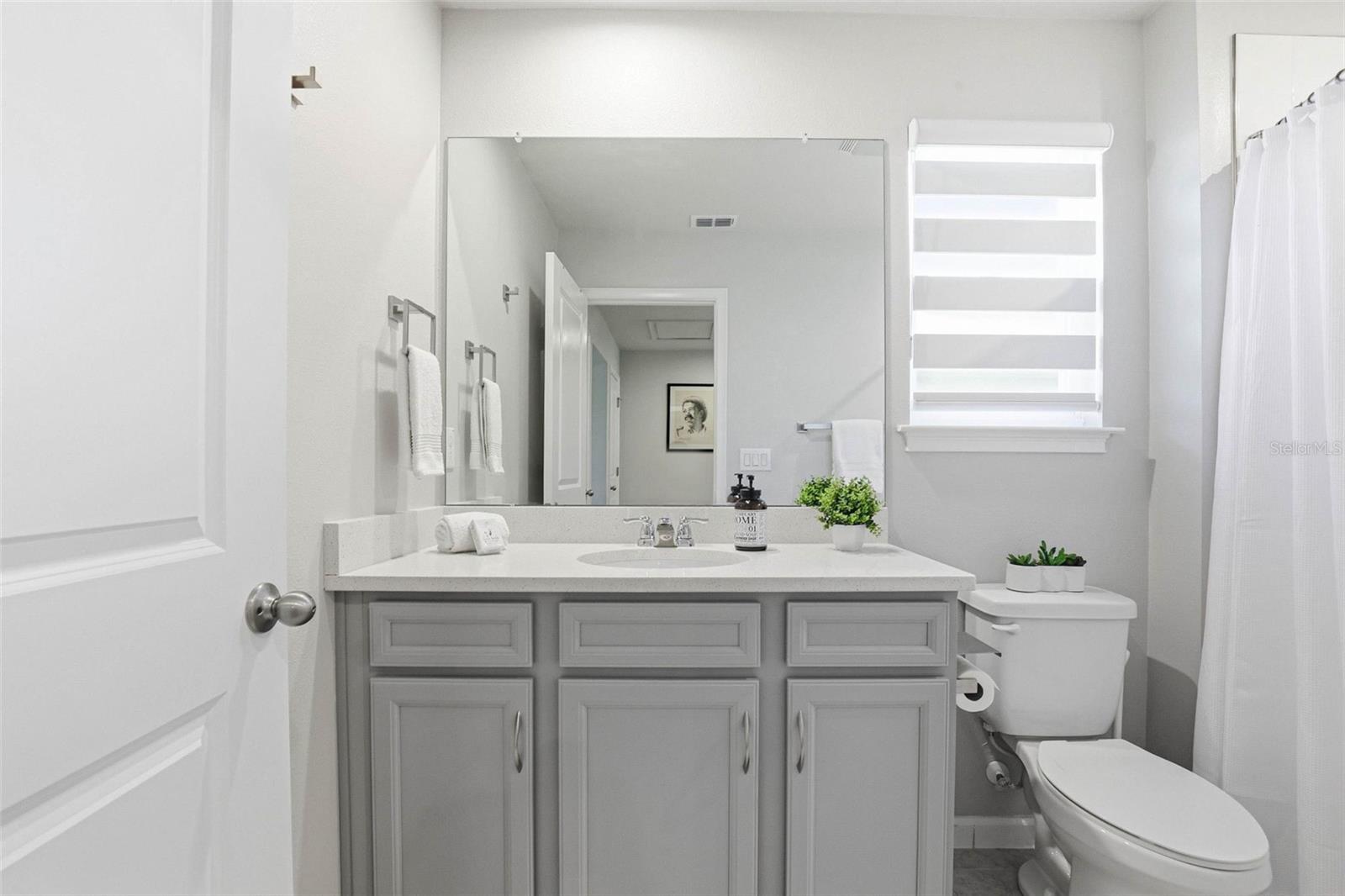 4220 CLOUD HOPPER WAY, LUTZ, FL, 33559