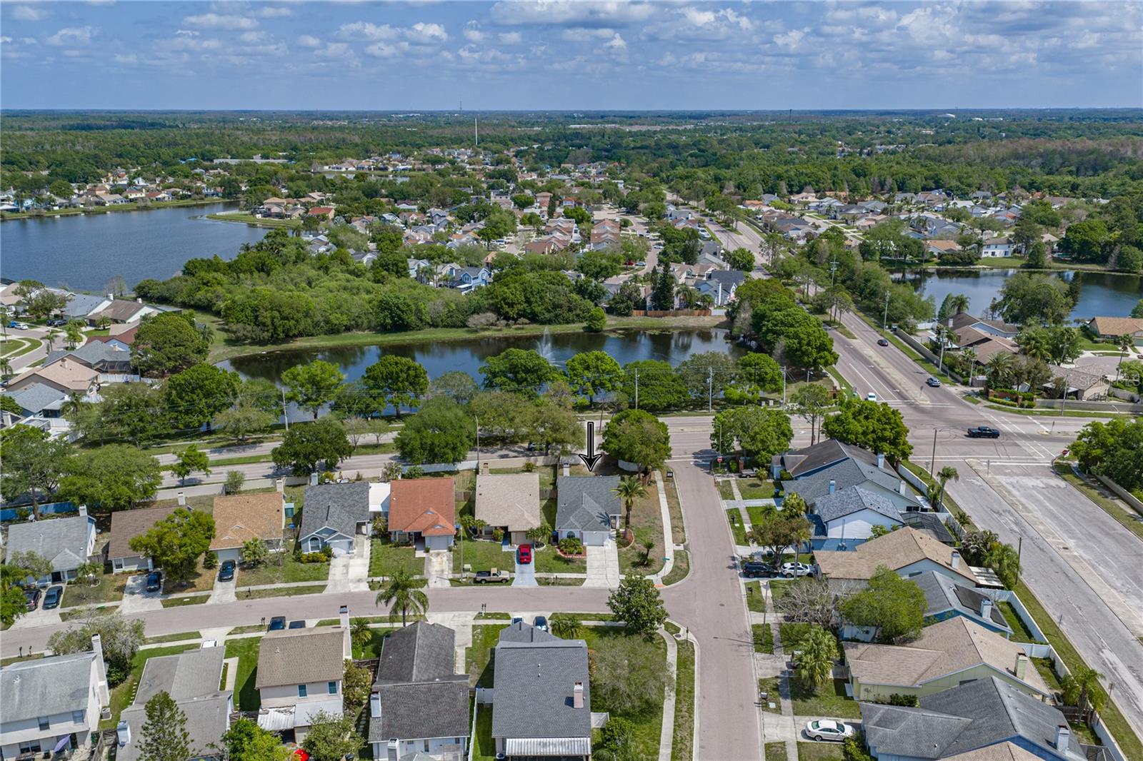 8601 COTTONWAY LN, TAMPA, FL, 33635