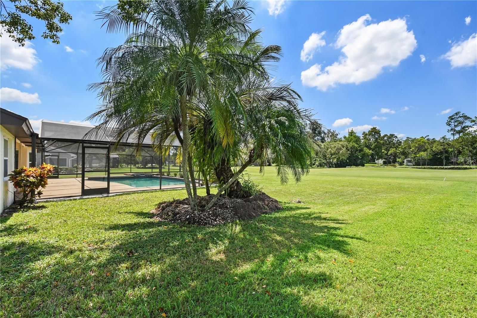 7037 EDGEWORTH DR, ORLANDO, FL, 32819