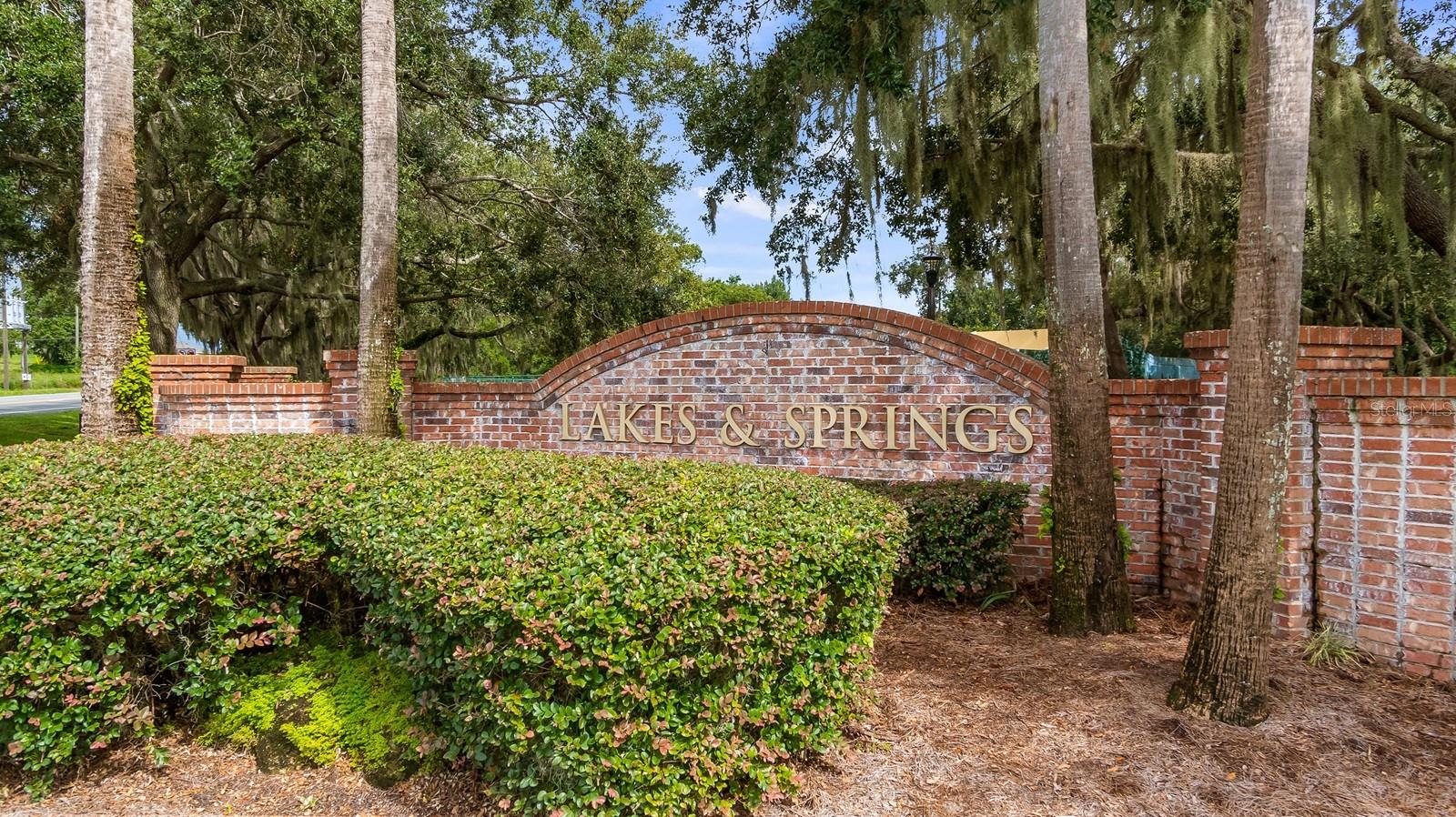 7351 SPRING MOUNTAIN LN, YALAHA, FL, 34797