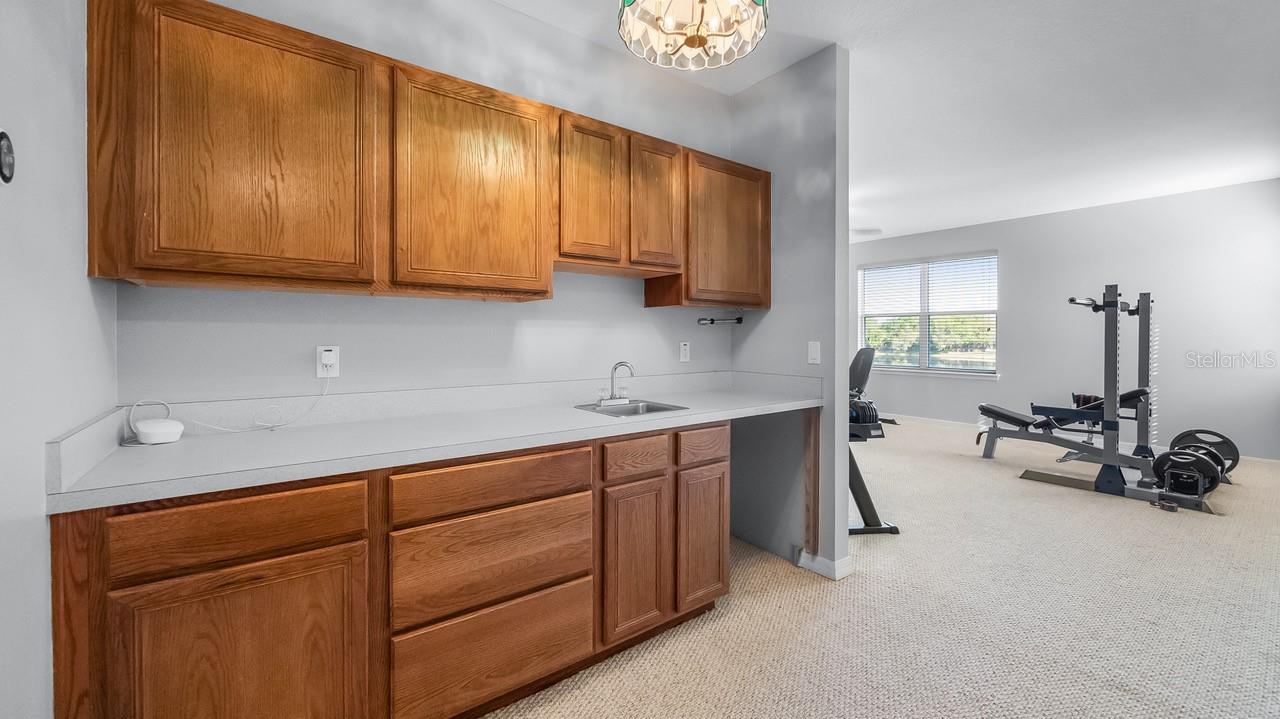 7351 SPRING MOUNTAIN LN, YALAHA, FL, 34797