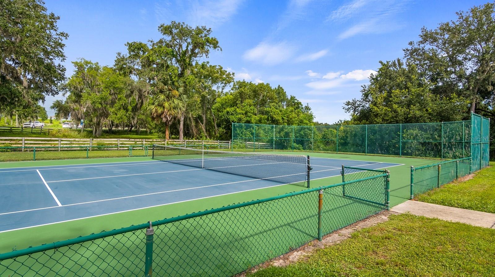 7351 SPRING MOUNTAIN LN, YALAHA, FL, 34797