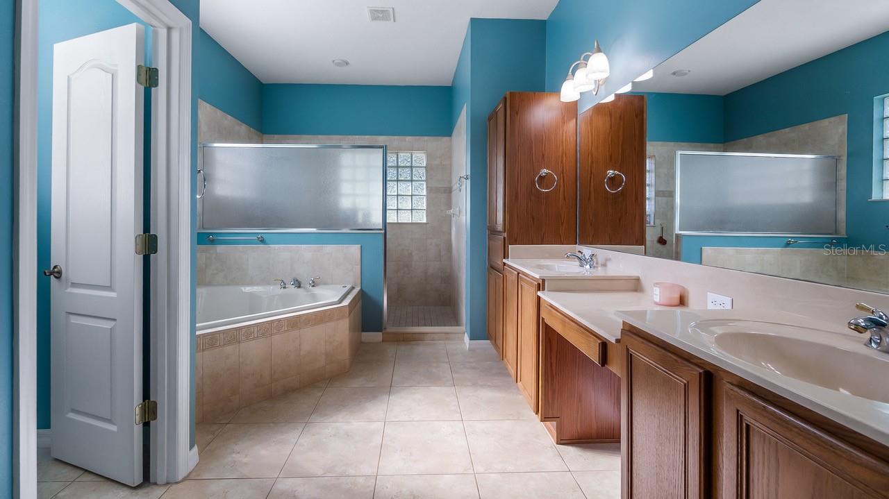 7351 SPRING MOUNTAIN LN, YALAHA, FL, 34797