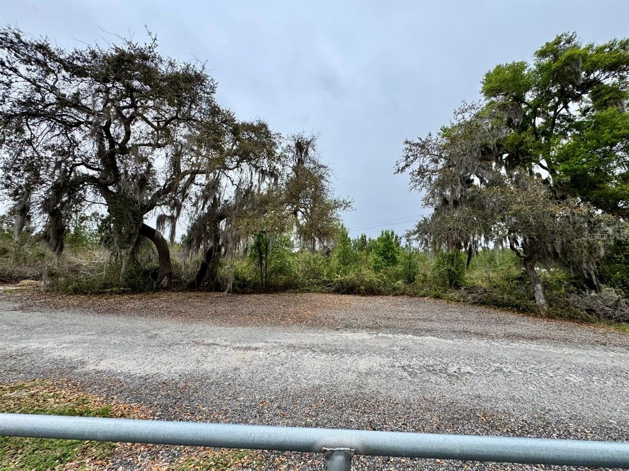 8671 NE 304TH TER, SALT SPRINGS, FL, 32134