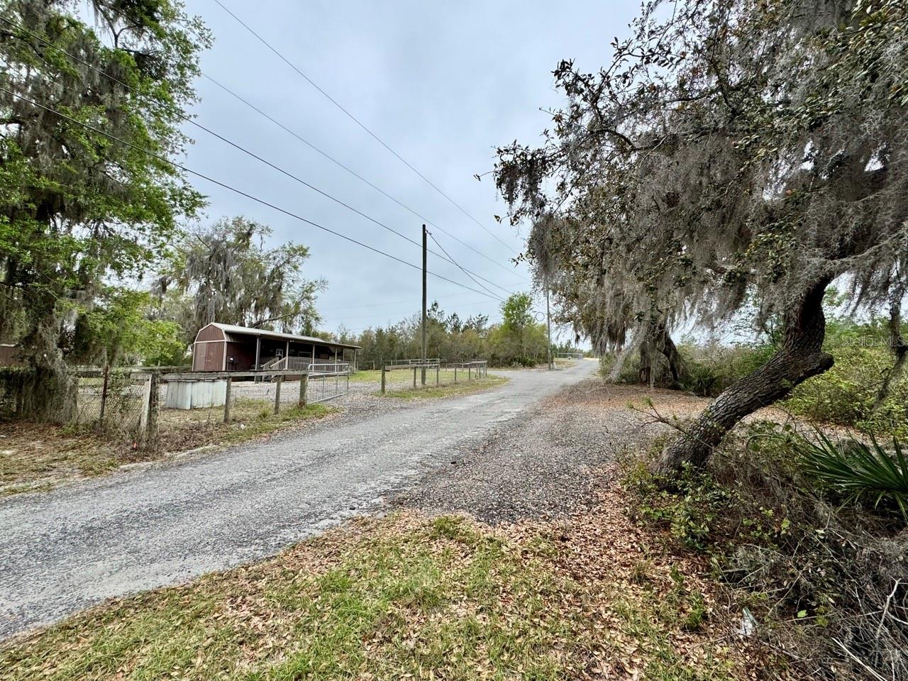 8671 NE 304TH TER, SALT SPRINGS, FL, 32134