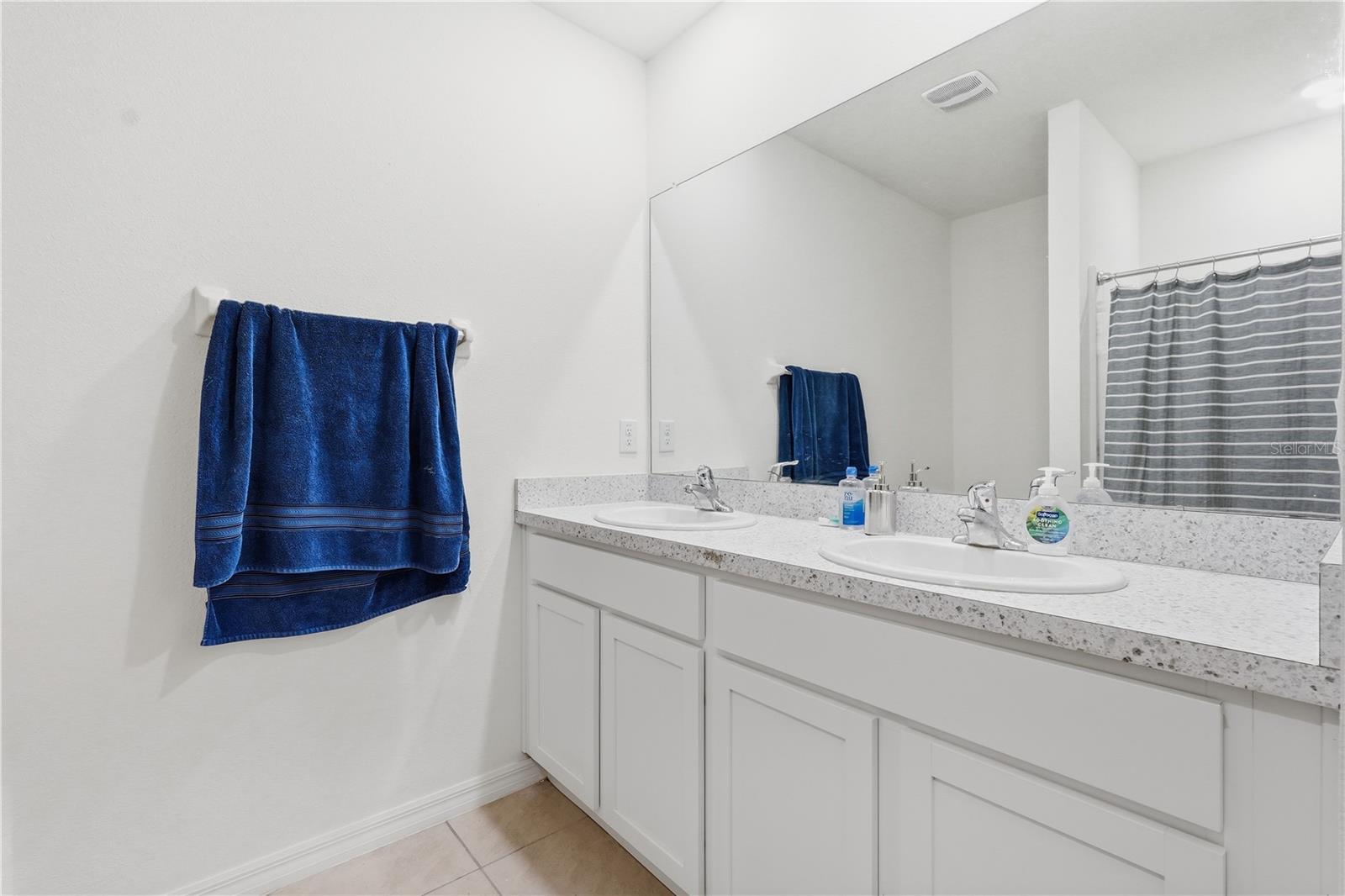 33922 JASPER STONE DR, WESLEY CHAPEL, FL, 33543
