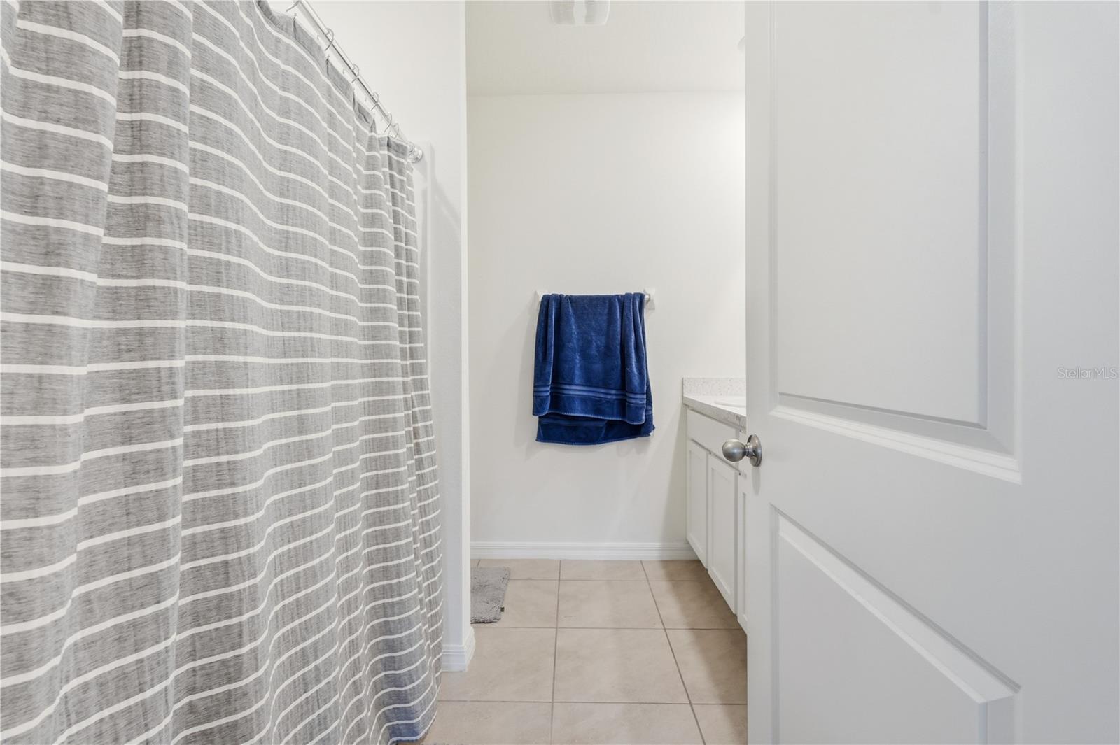 33922 JASPER STONE DR, WESLEY CHAPEL, FL, 33543